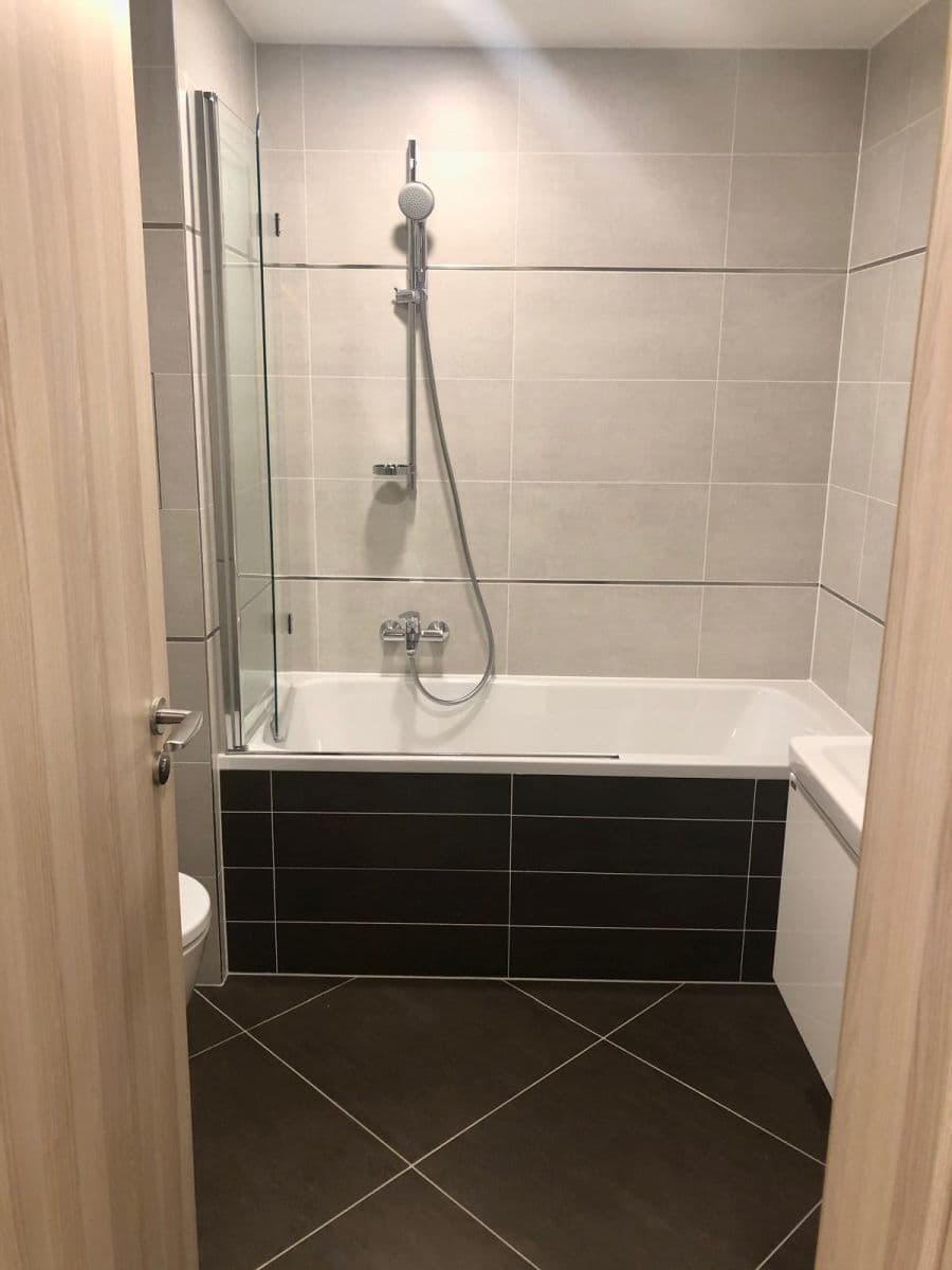 1 bedroom with open-plan kitchen flat to rent, 51 m², Bassova, Prague, Prague 1 bedroom with open-plan kitchen flat to rent, 51 m², Bassova, Prague, Prague