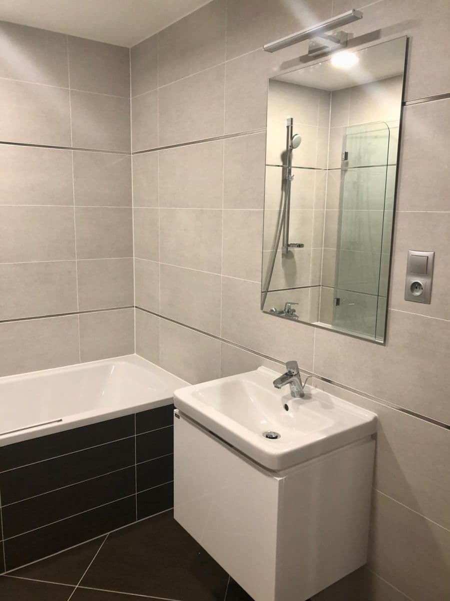 1 bedroom with open-plan kitchen flat to rent, 51 m², Bassova, Prague, Prague 1 bedroom with open-plan kitchen flat to rent, 51 m², Bassova, Prague, Prague