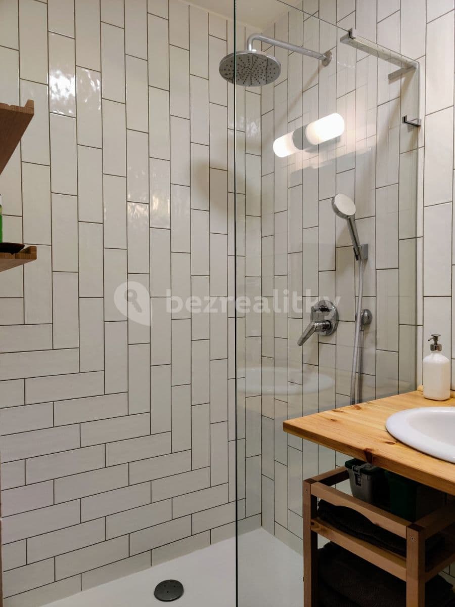 2 bedroom with open-plan kitchen flat to rent, 66 m², Veverkova, Prague, Prague 2 bedroom with open-plan kitchen flat to rent, 66 m², Veverkova, Prague, Prague