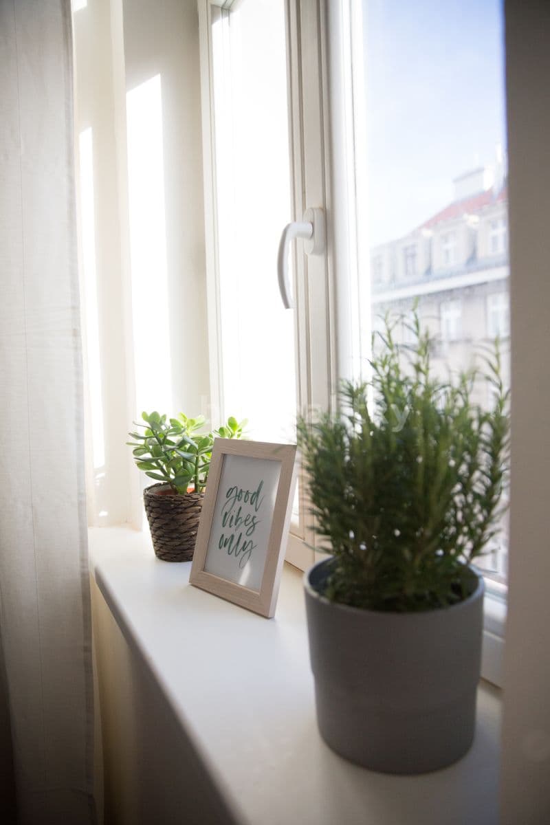 1 bedroom with open-plan kitchen flat to rent, 55 m², Schnirchova, Prague, Prague 1 bedroom with open-plan kitchen flat to rent, 55 m², Schnirchova, Prague, Prague