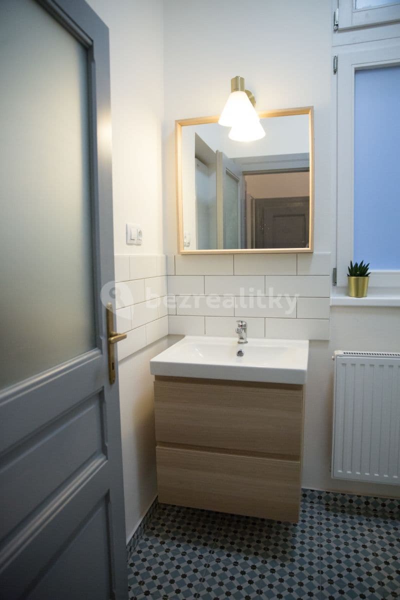 1 bedroom with open-plan kitchen flat to rent, 55 m², Schnirchova, Prague, Prague 1 bedroom with open-plan kitchen flat to rent, 55 m², Schnirchova, Prague, Prague