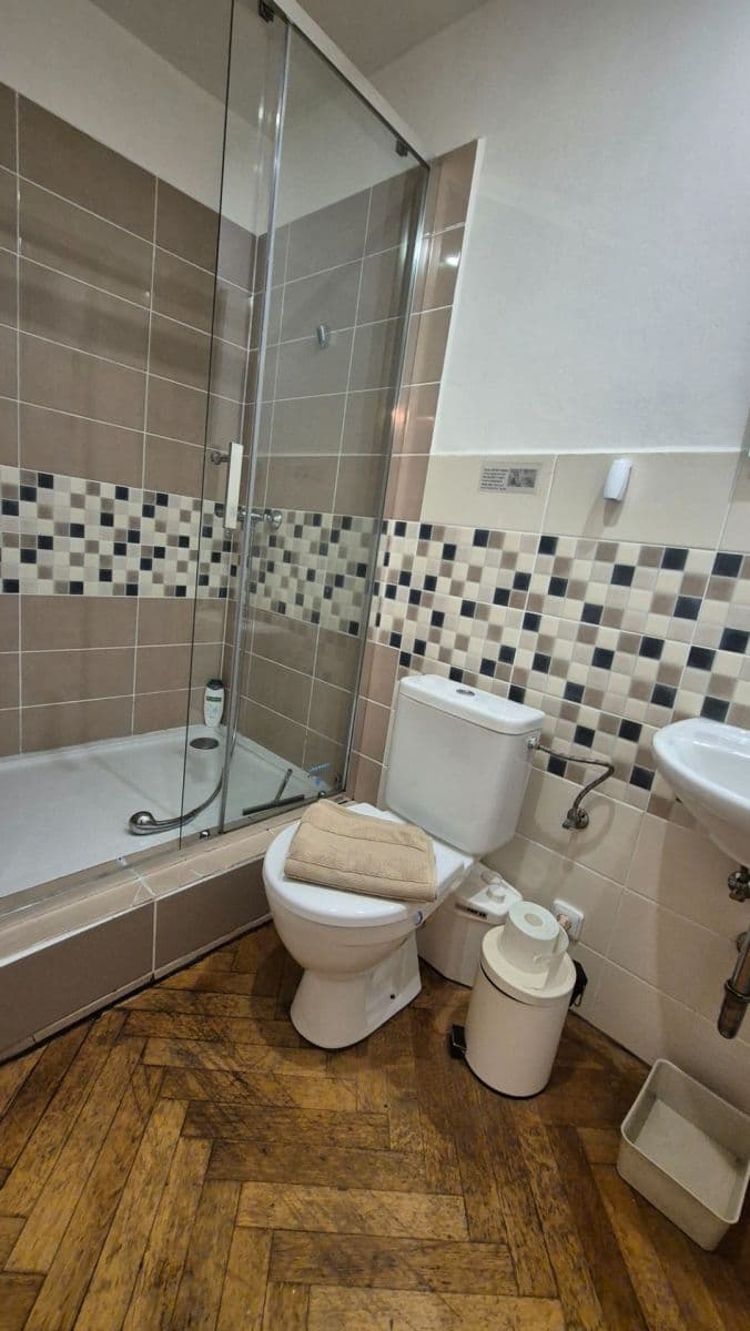 1 bedroom with open-plan kitchen flat to rent, 67 m², Zborovská, Prague, Prague 1 bedroom with open-plan kitchen flat to rent, 67 m², Zborovská, Prague, Prague