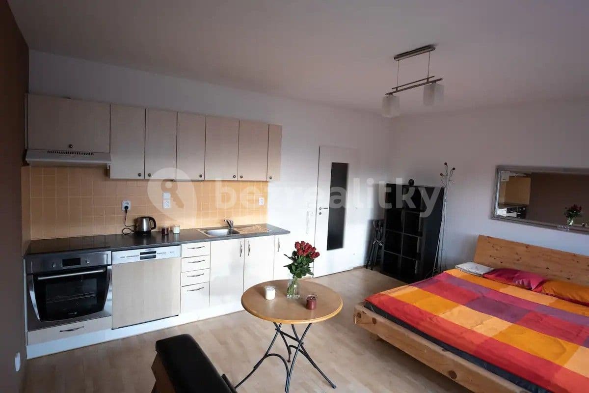 Studio flat to rent, 32 m², Sluneční náměstí, Prague, Prague Studio flat to rent, 32 m², Sluneční náměstí, Prague, Prague