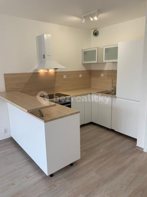 1 bedroom with open-plan kitchen flat to rent, 46 m², 42, Brno, Jihomoravský Region 1 bedroom with open-plan kitchen flat to rent, 46 m², 42, Brno, Jihomoravský Region