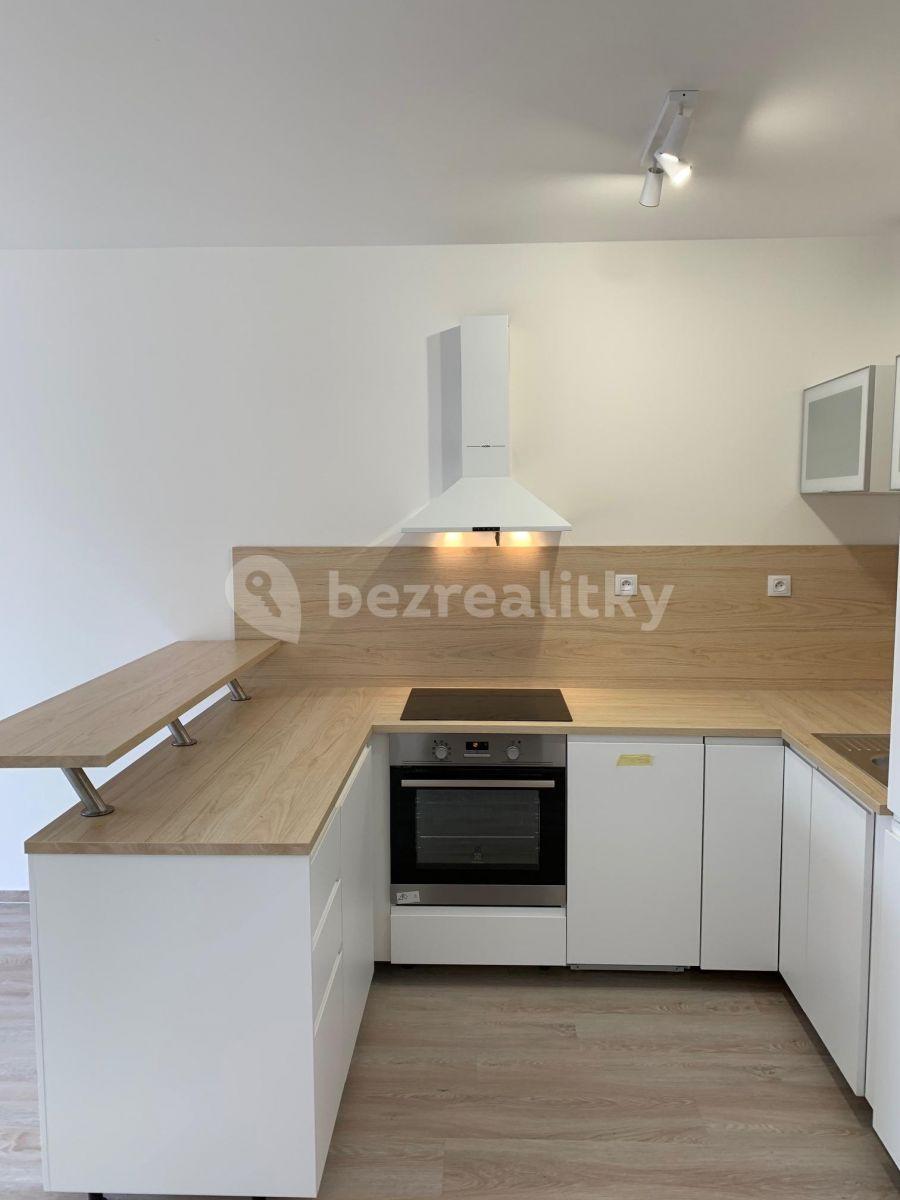 1 bedroom with open-plan kitchen flat to rent, 46 m², 42, Brno, Jihomoravský Region