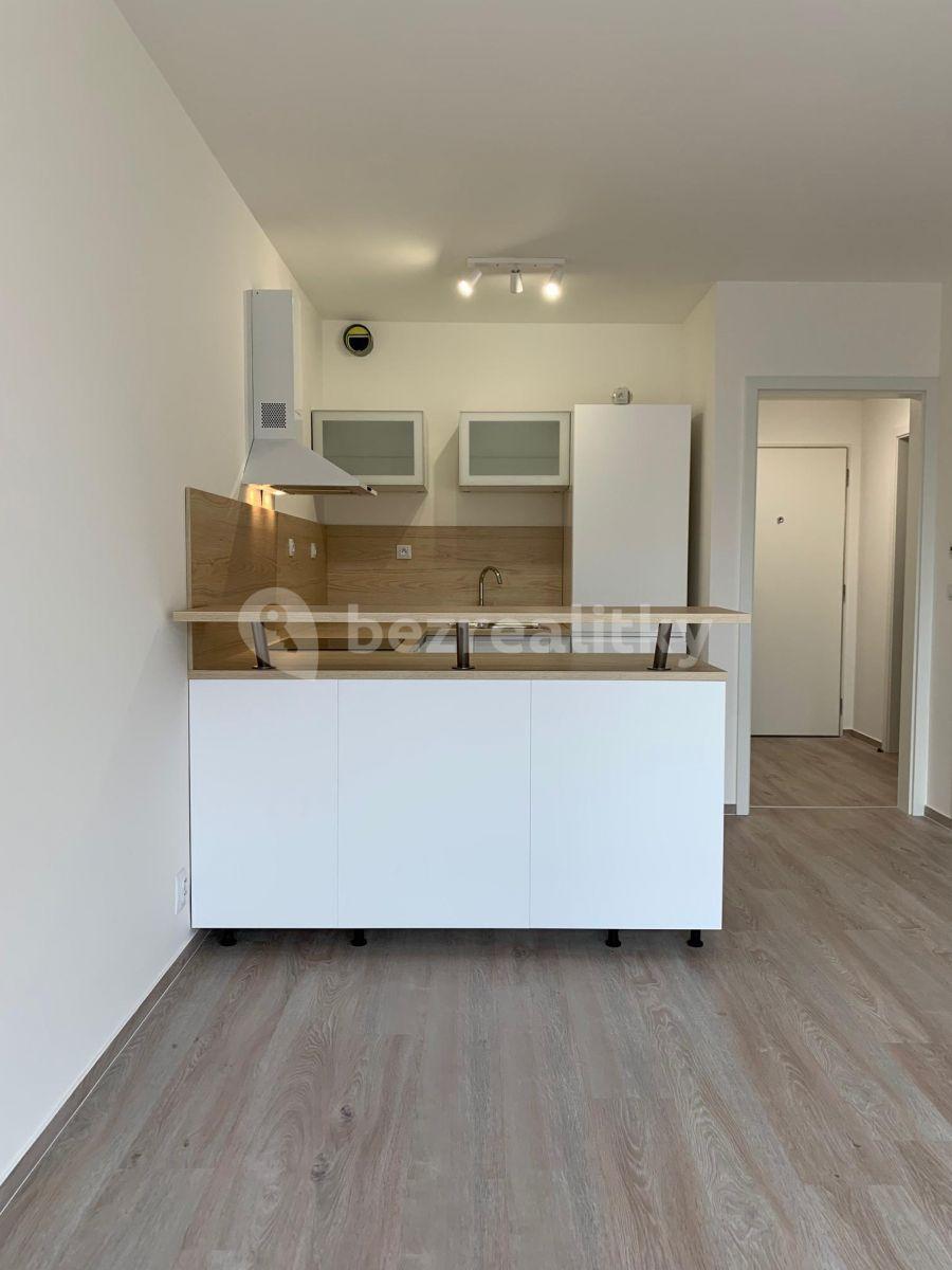 1 bedroom with open-plan kitchen flat to rent, 46 m², 42, Brno, Jihomoravský Region