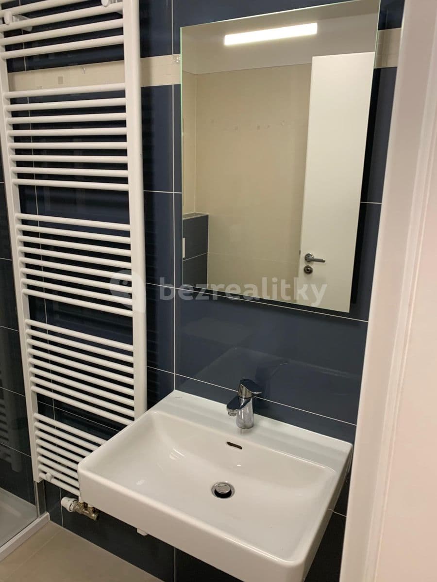 1 bedroom with open-plan kitchen flat to rent, 46 m², 42, Brno, Jihomoravský Region 1 bedroom with open-plan kitchen flat to rent, 46 m², 42, Brno, Jihomoravský Region