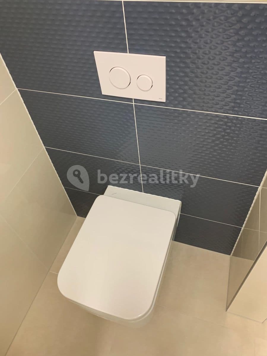 1 bedroom with open-plan kitchen flat to rent, 46 m², 42, Brno, Jihomoravský Region 1 bedroom with open-plan kitchen flat to rent, 46 m², 42, Brno, Jihomoravský Region