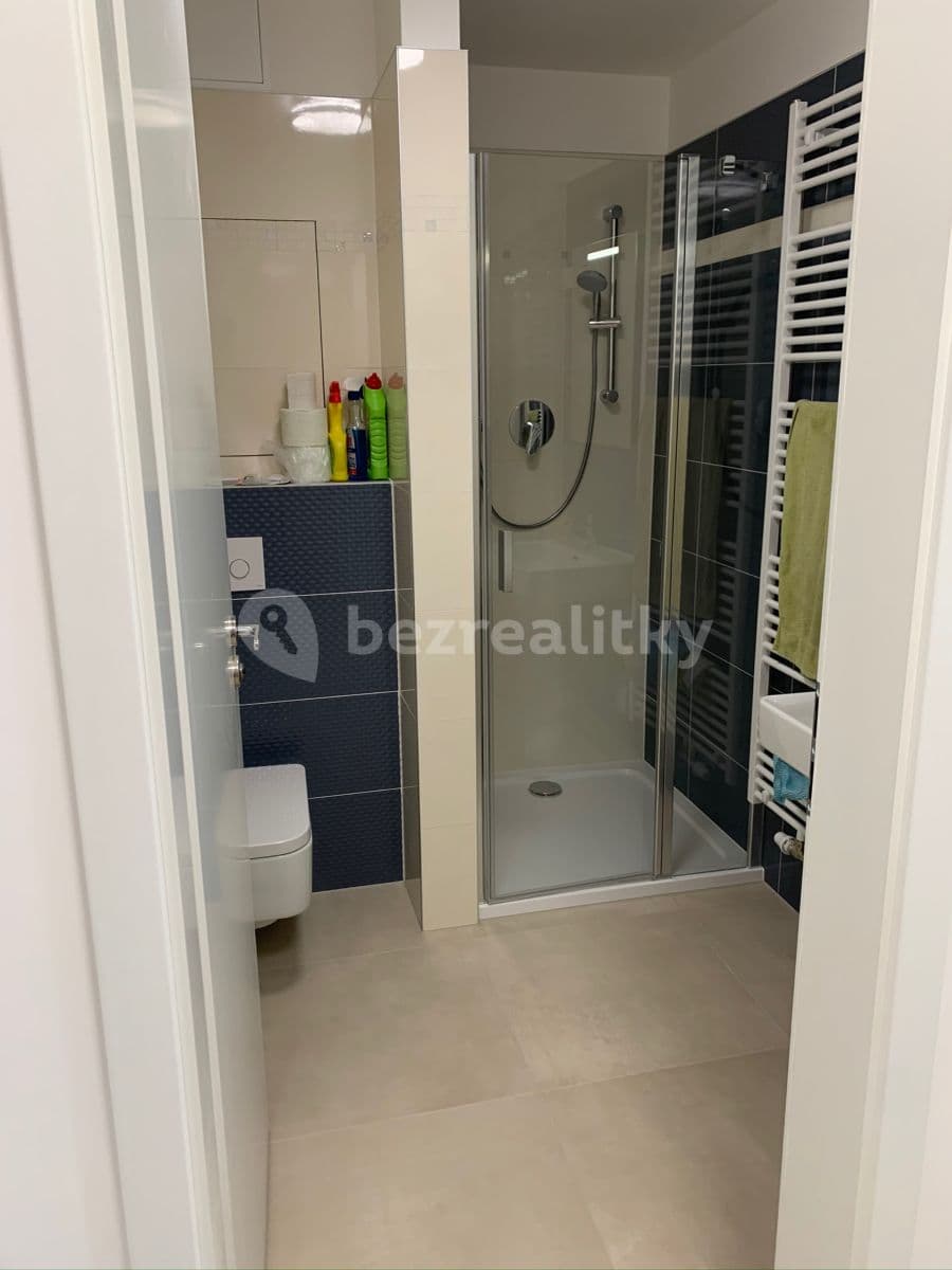 1 bedroom with open-plan kitchen flat to rent, 46 m², 42, Brno, Jihomoravský Region 1 bedroom with open-plan kitchen flat to rent, 46 m², 42, Brno, Jihomoravský Region