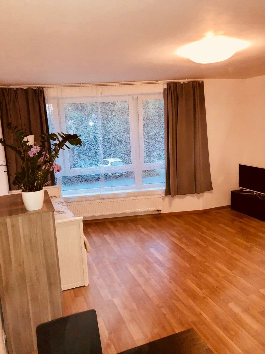 Studio flat to rent, 36 m², Rižská, Prague, Prague Studio flat to rent, 36 m², Rižská, Prague, Prague