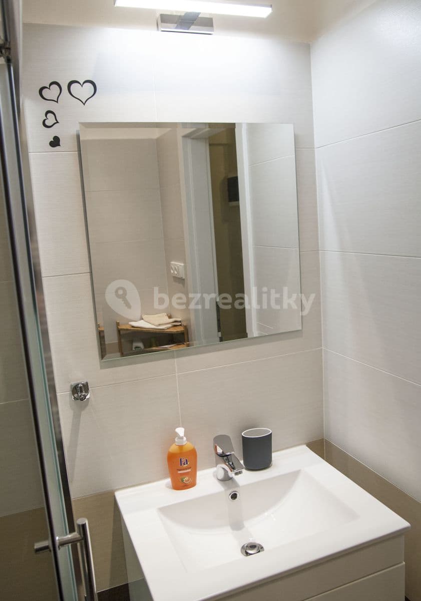 Studio flat to rent, 42 m², Bořivojova, Prague, Prague Studio flat to rent, 42 m², Bořivojova, Prague, Prague