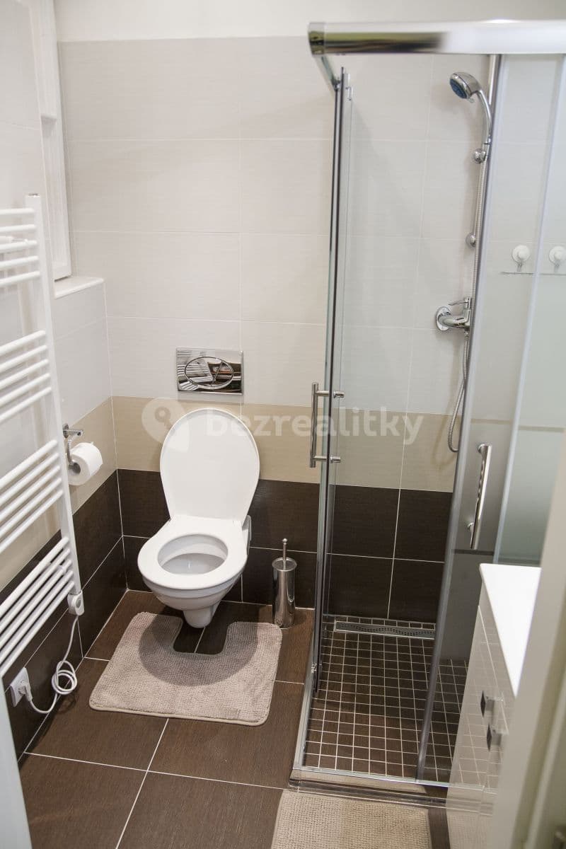 Studio flat to rent, 42 m², Bořivojova, Prague, Prague Studio flat to rent, 42 m², Bořivojova, Prague, Prague