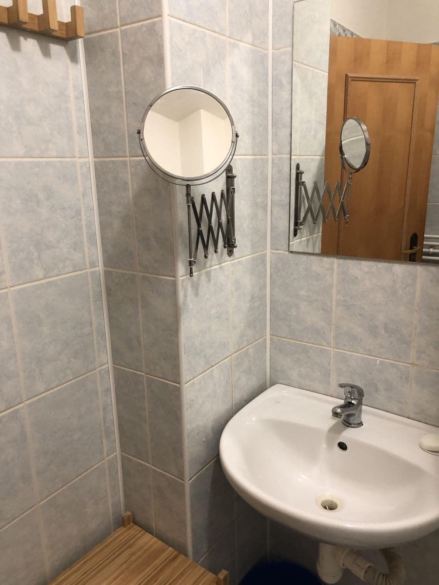 1 bedroom with open-plan kitchen flat to rent, 50 m², U Santošky, Prague, Prague 1 bedroom with open-plan kitchen flat to rent, 50 m², U Santošky, Prague, Prague