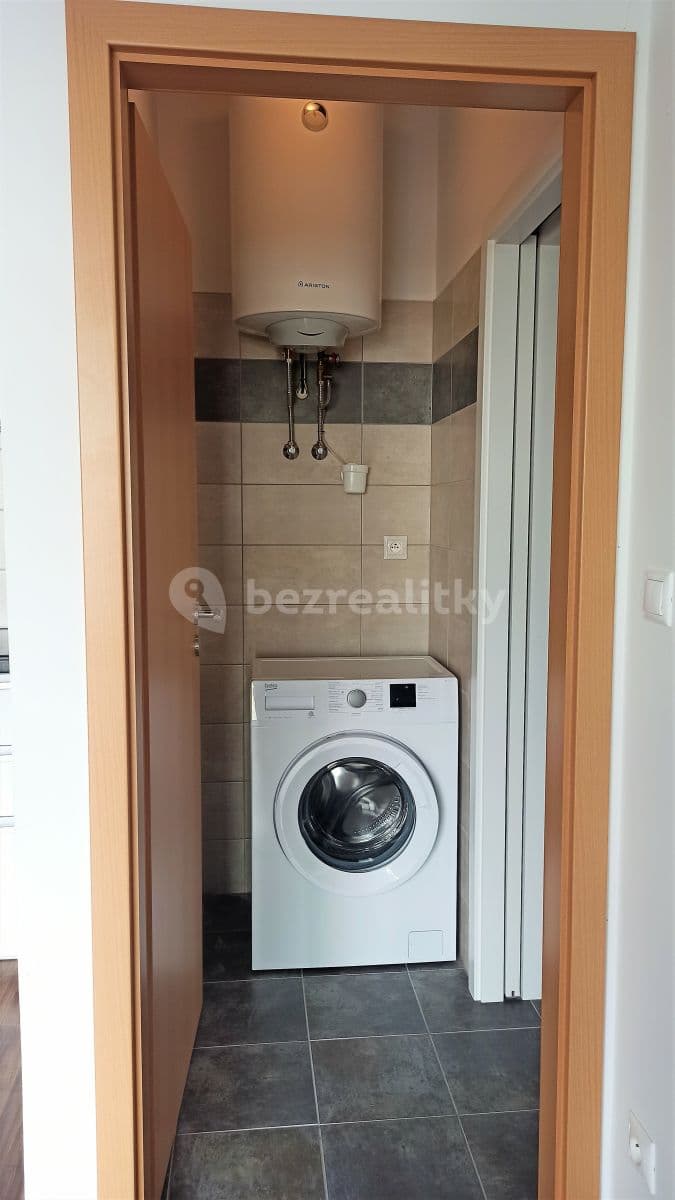 1 bedroom with open-plan kitchen flat to rent, 53 m², Havránkova, Brno, Jihomoravský Region 1 bedroom with open-plan kitchen flat to rent, 53 m², Havránkova, Brno, Jihomoravský Region