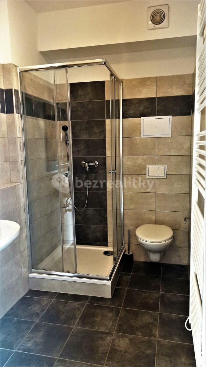 1 bedroom with open-plan kitchen flat to rent, 53 m², Havránkova, Brno, Jihomoravský Region 1 bedroom with open-plan kitchen flat to rent, 53 m², Havránkova, Brno, Jihomoravský Region