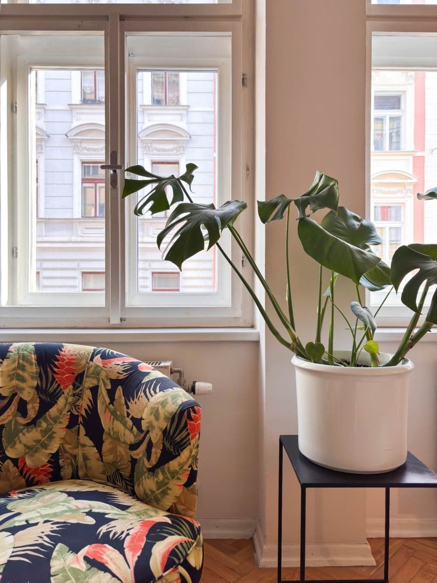 2 bedroom flat to rent, 68 m², Jana Masaryka, Prague, Prague 2 bedroom flat to rent, 68 m², Jana Masaryka, Prague, Prague