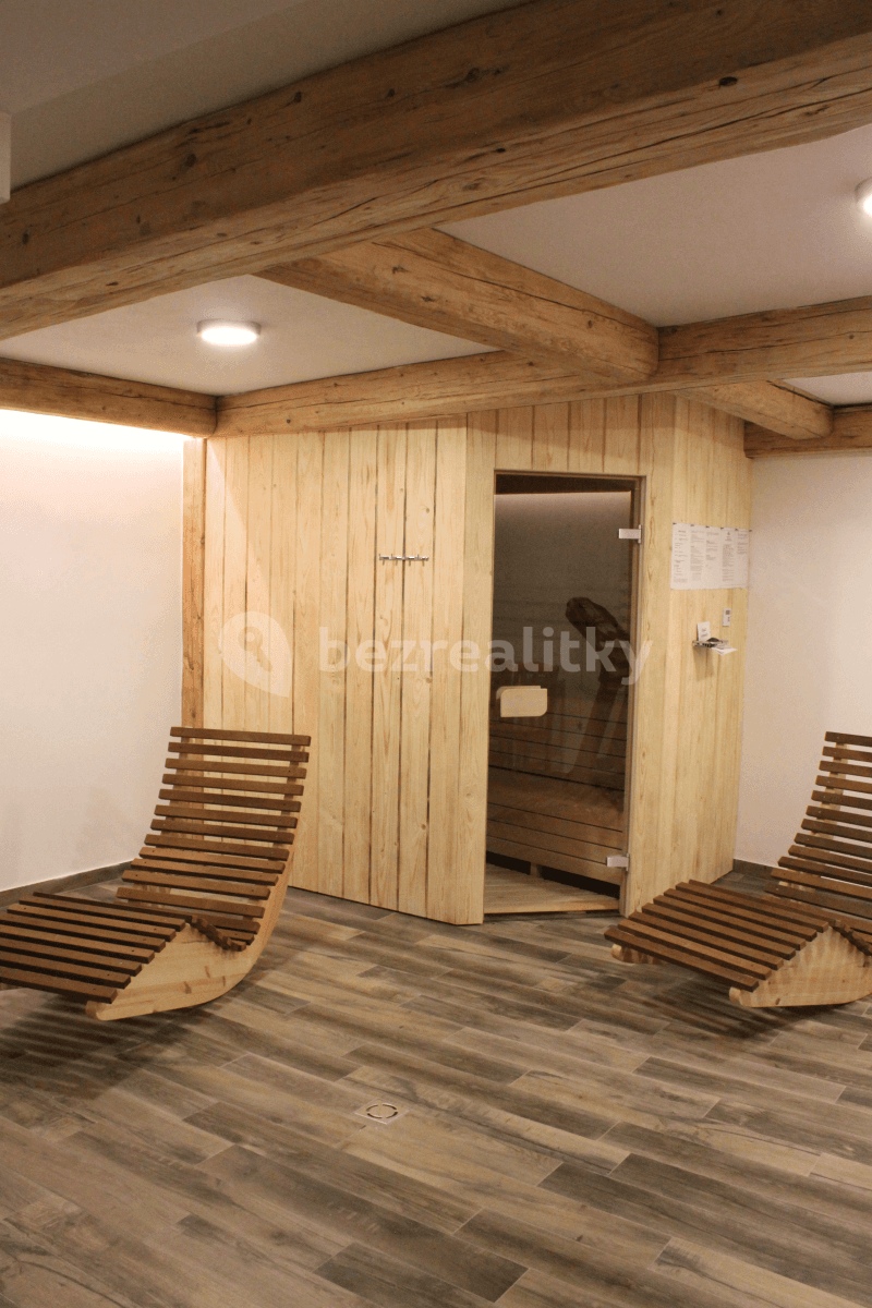 1 bedroom with open-plan kitchen flat to rent, 51 m², Podbělohorská, Prague, Prague 1 bedroom with open-plan kitchen flat to rent, 51 m², Podbělohorská, Prague, Prague
