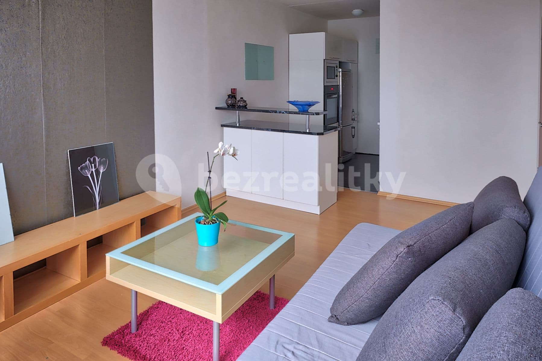 1 bedroom with open-plan kitchen flat to rent, 56 m², Nechvílova, Prague, Prague 1 bedroom with open-plan kitchen flat to rent, 56 m², Nechvílova, Prague, Prague