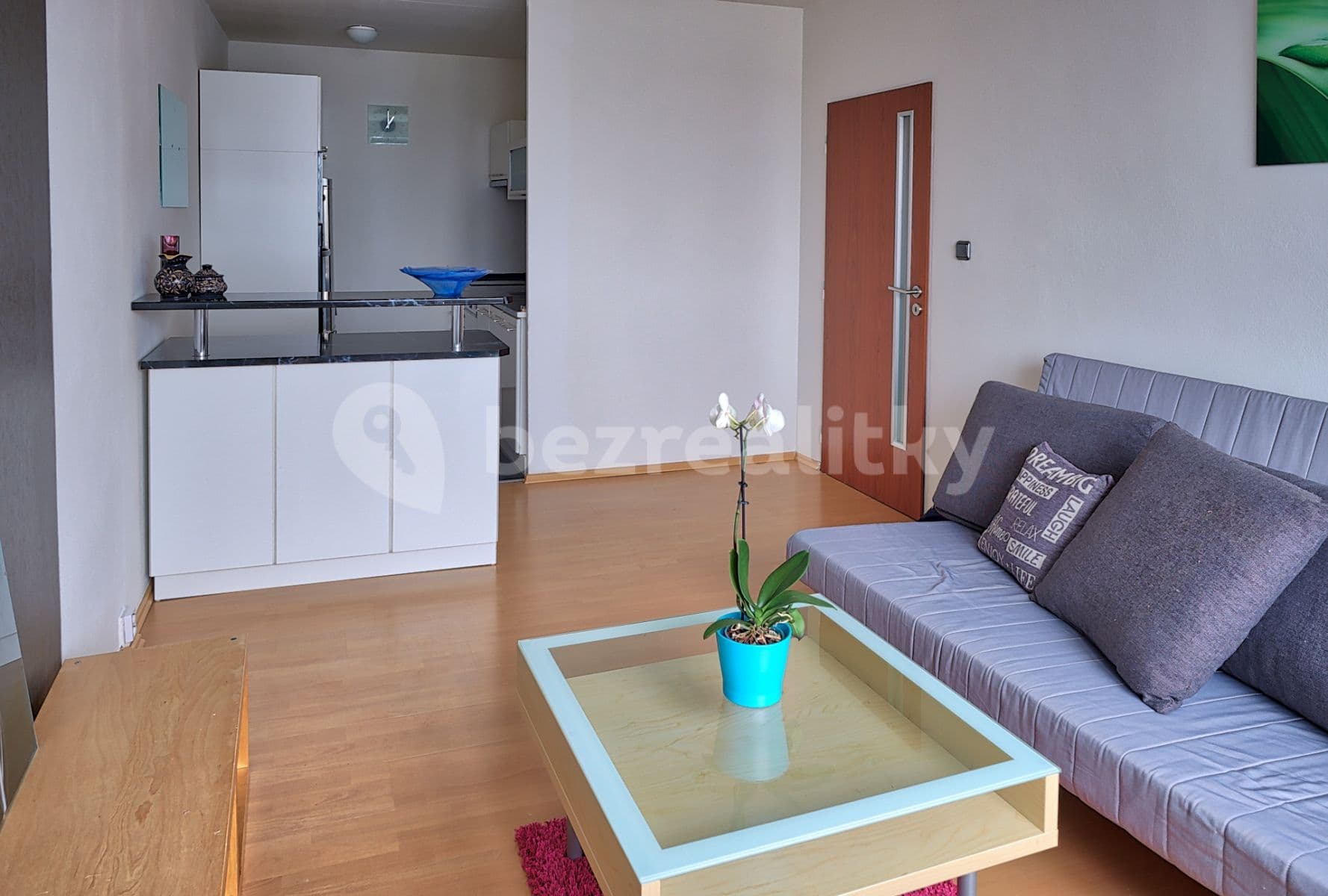 1 bedroom with open-plan kitchen flat to rent, 56 m², Nechvílova, Prague, Prague 1 bedroom with open-plan kitchen flat to rent, 56 m², Nechvílova, Prague, Prague