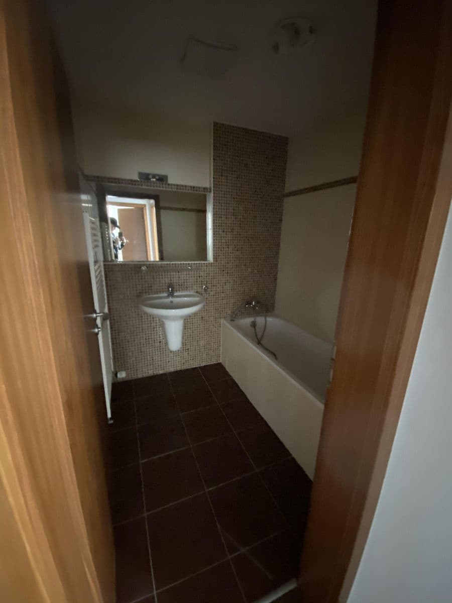 1 bedroom with open-plan kitchen flat to rent, 70 m², Vorařská, Prague, Prague 1 bedroom with open-plan kitchen flat to rent, 70 m², Vorařská, Prague, Prague