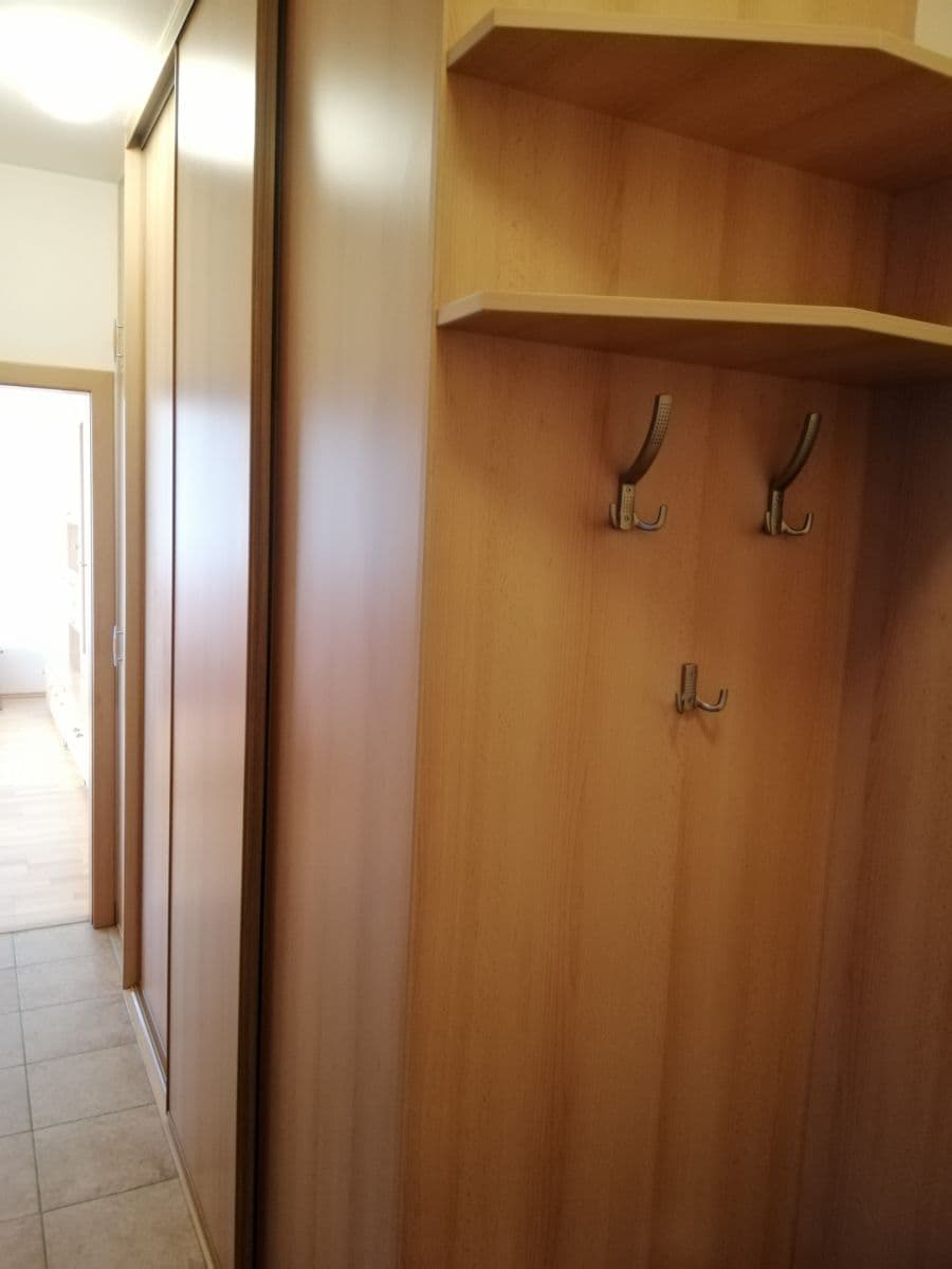 1 bedroom with open-plan kitchen flat to rent, 56 m², Pastevců, Prague, Prague 1 bedroom with open-plan kitchen flat to rent, 56 m², Pastevců, Prague, Prague