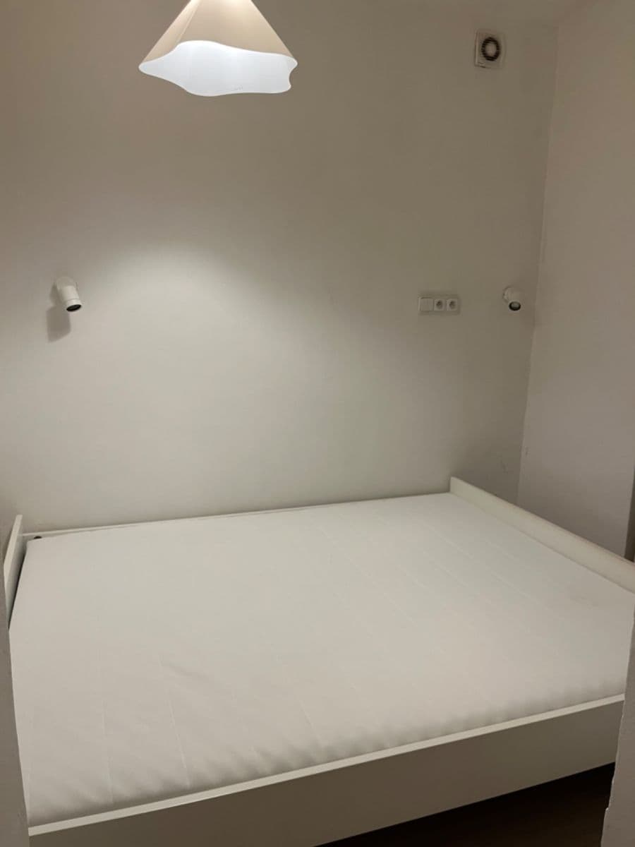 1 bedroom with open-plan kitchen flat to rent, 41 m², Oldřichova, Prague, Prague 1 bedroom with open-plan kitchen flat to rent, 41 m², Oldřichova, Prague, Prague