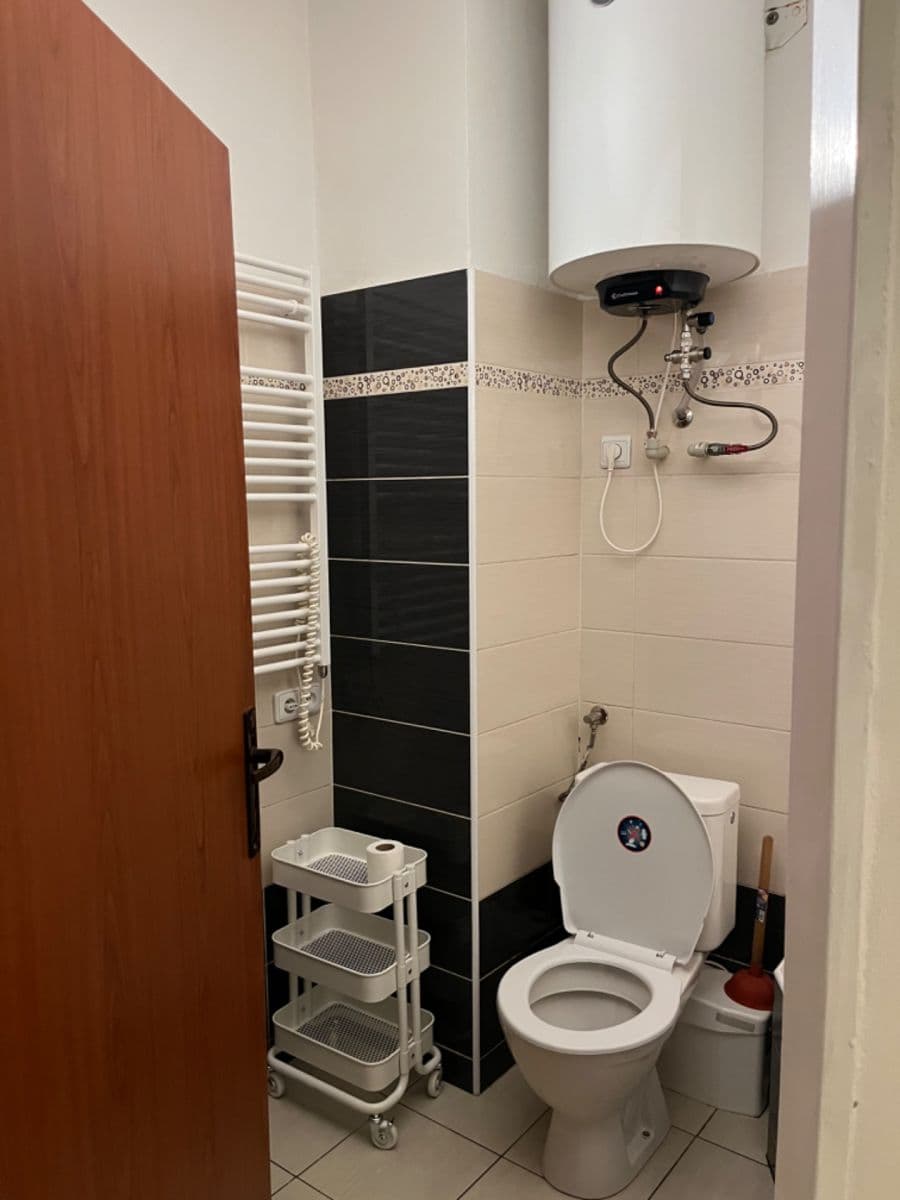 1 bedroom with open-plan kitchen flat to rent, 41 m², Oldřichova, Prague, Prague 1 bedroom with open-plan kitchen flat to rent, 41 m², Oldřichova, Prague, Prague