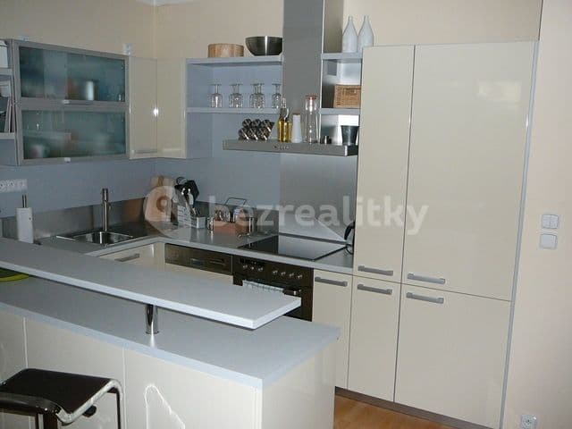 1 bedroom with open-plan kitchen flat to rent, 58 m², Prague, Prague 1 bedroom with open-plan kitchen flat to rent, 58 m², Prague, Prague