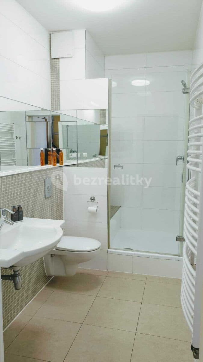 1 bedroom with open-plan kitchen flat to rent, 58 m², Prague, Prague 1 bedroom with open-plan kitchen flat to rent, 58 m², Prague, Prague