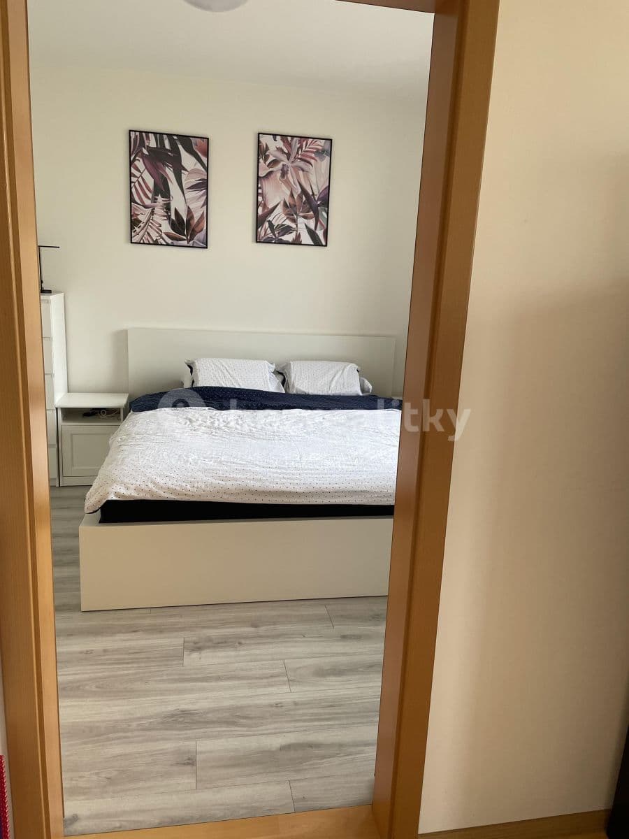 1 bedroom with open-plan kitchen flat to rent, 58 m², Prague, Prague 1 bedroom with open-plan kitchen flat to rent, 58 m², Prague, Prague