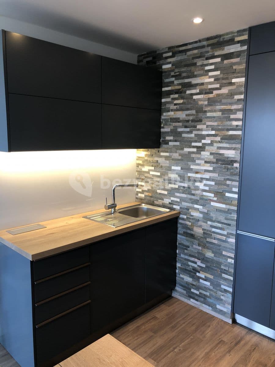 1 bedroom with open-plan kitchen flat to rent, 65 m², Škrábkových, Prague, Prague 1 bedroom with open-plan kitchen flat to rent, 65 m², Škrábkových, Prague, Prague