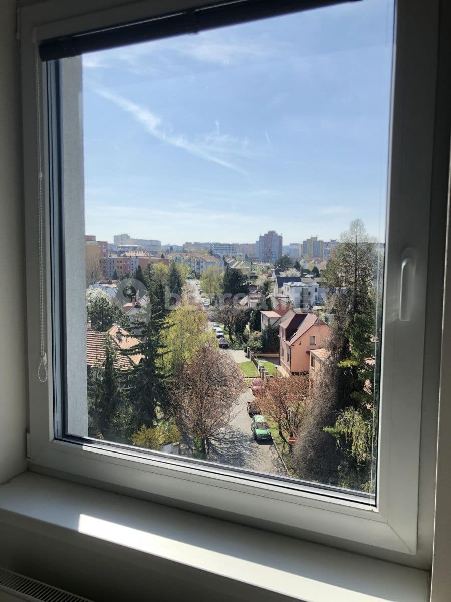 1 bedroom with open-plan kitchen flat to rent, 65 m², Škrábkových, Prague, Prague 1 bedroom with open-plan kitchen flat to rent, 65 m², Škrábkových, Prague, Prague