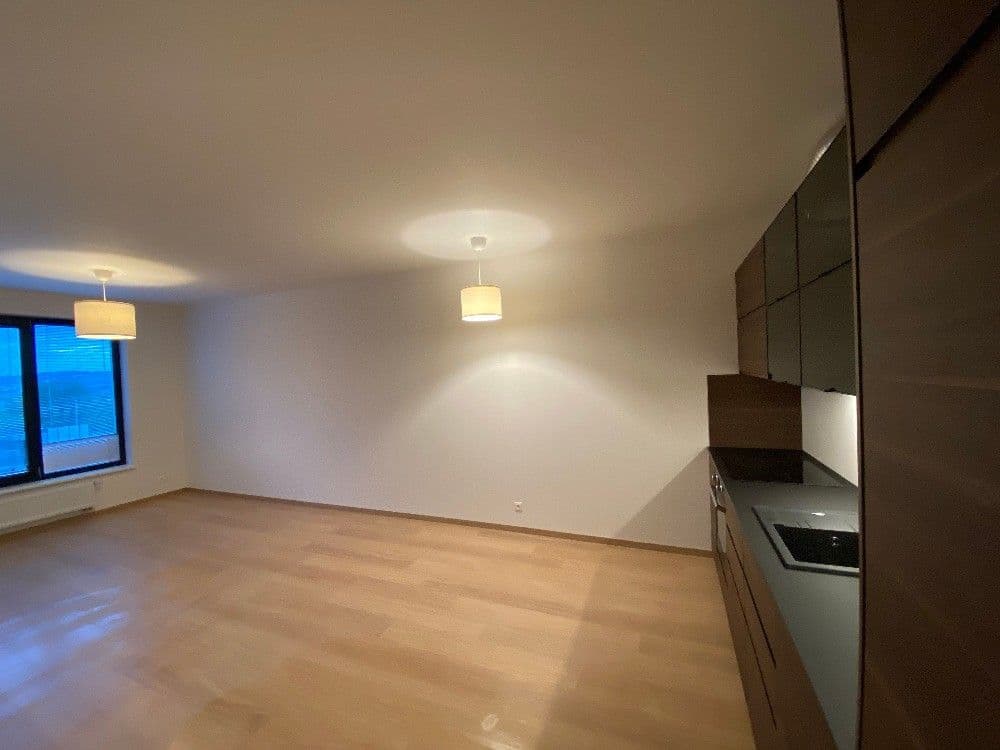 1 bedroom with open-plan kitchen flat to rent, 58 m², Na Komořsku, Prague, Prague 1 bedroom with open-plan kitchen flat to rent, 58 m², Na Komořsku, Prague, Prague
