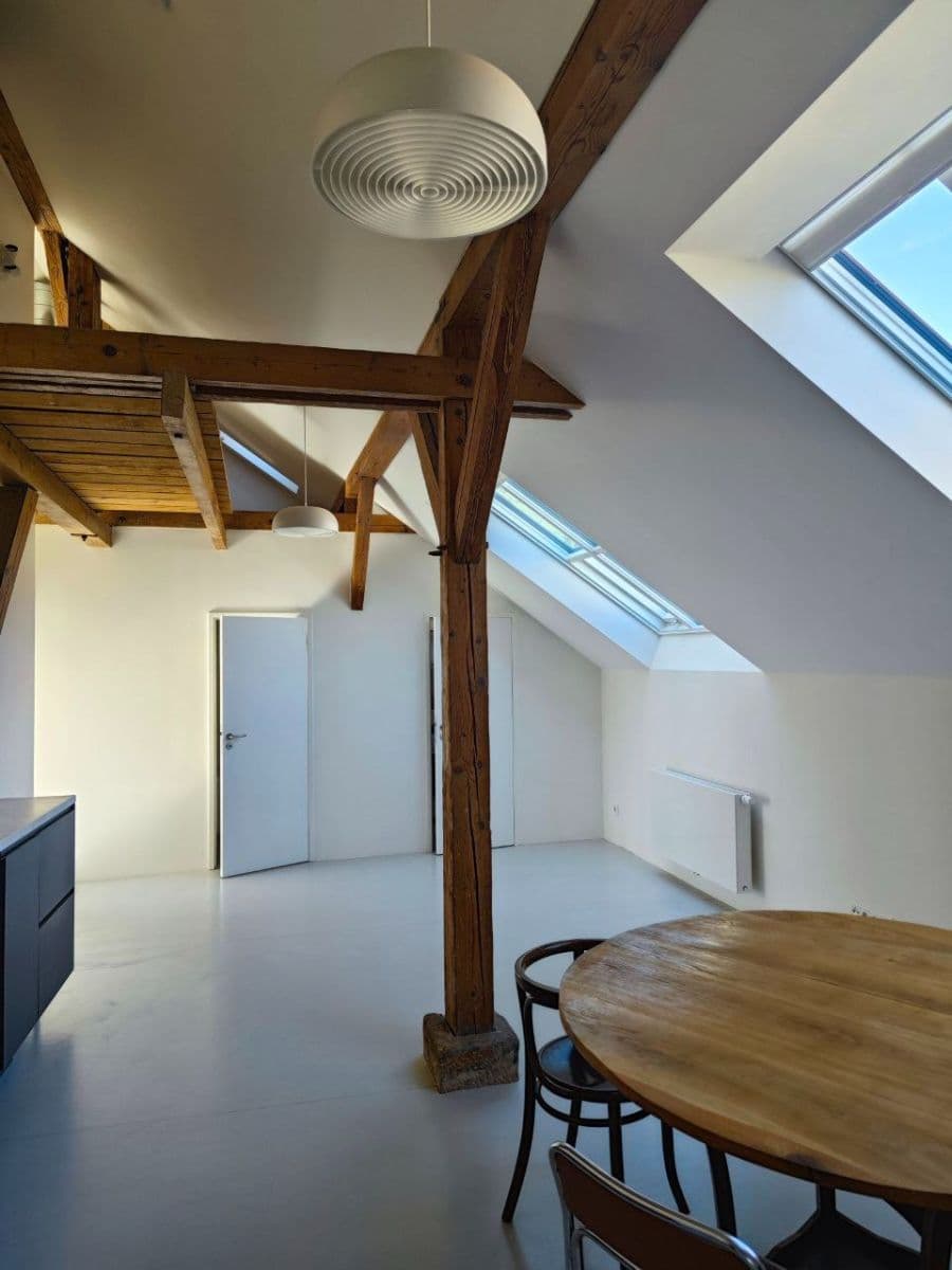 1 bedroom with open-plan kitchen flat to rent, 85 m², Jeronýmova, Prague, Prague 1 bedroom with open-plan kitchen flat to rent, 85 m², Jeronýmova, Prague, Prague