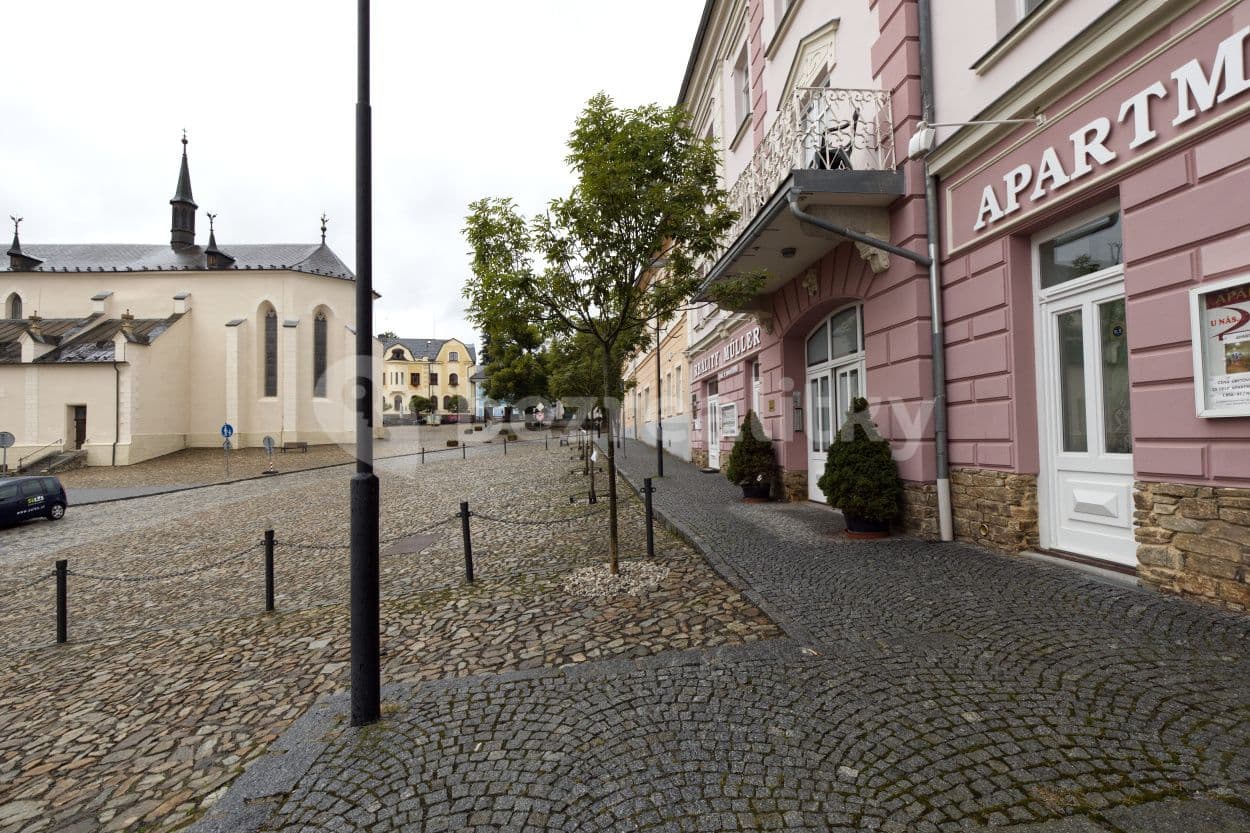 2 bedroom with open-plan kitchen flat to rent, 60 m², Náměstí, Kašperské Hory, Plzeňský Region 2 bedroom with open-plan kitchen flat to rent, 60 m², Náměstí, Kašperské Hory, Plzeňský Region