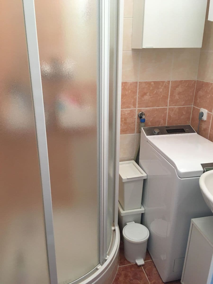 1 bedroom with open-plan kitchen flat to rent, 44 m², U Nových domů Ⅰ, Prague, Prague 1 bedroom with open-plan kitchen flat to rent, 44 m², U Nových domů Ⅰ, Prague, Prague