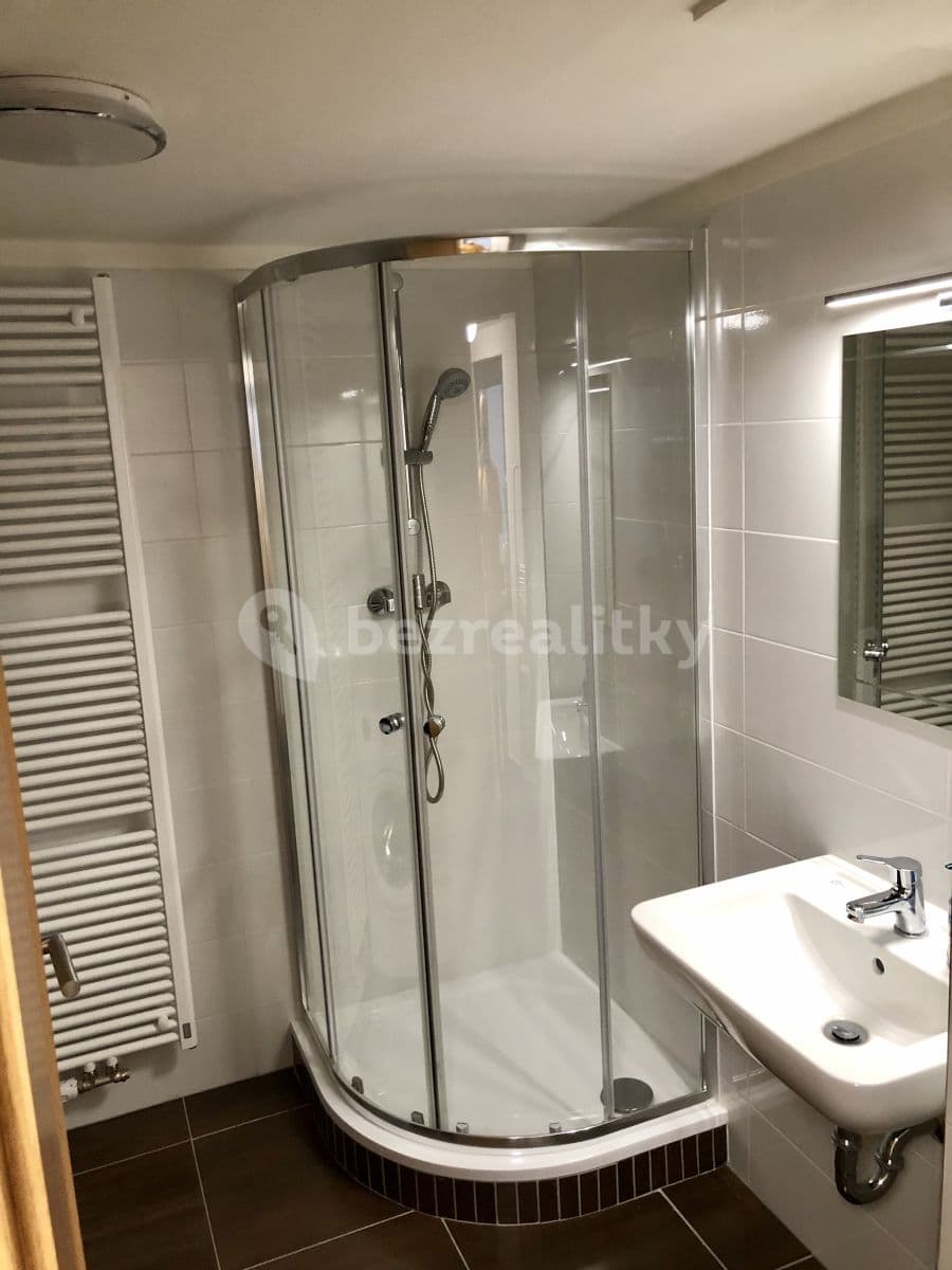 1 bedroom with open-plan kitchen flat to rent, 41 m², Rostislavova, Prague, Prague 1 bedroom with open-plan kitchen flat to rent, 41 m², Rostislavova, Prague, Prague