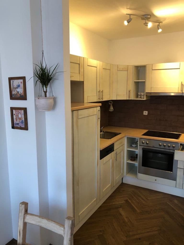 1 bedroom with open-plan kitchen flat to rent, 64 m², Na Plzeňce, Prague, Prague 1 bedroom with open-plan kitchen flat to rent, 64 m², Na Plzeňce, Prague, Prague