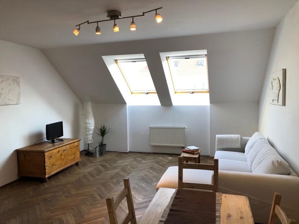 1 bedroom with open-plan kitchen flat to rent, 64 m², Na Plzeňce, Prague, Prague 1 bedroom with open-plan kitchen flat to rent, 64 m², Na Plzeňce, Prague, Prague