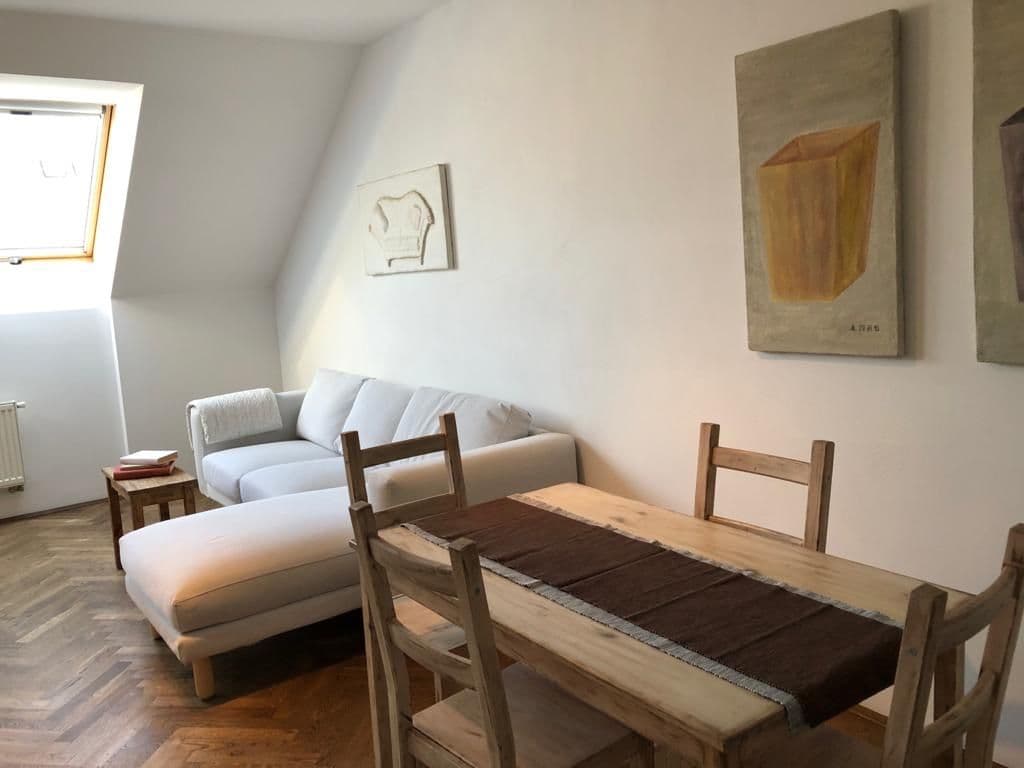 1 bedroom with open-plan kitchen flat to rent, 64 m², Na Plzeňce, Prague, Prague 1 bedroom with open-plan kitchen flat to rent, 64 m², Na Plzeňce, Prague, Prague