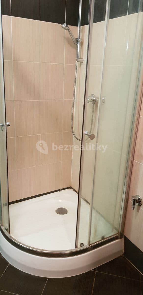 1 bedroom with open-plan kitchen flat to rent, 49 m², Klapkova, Prague, Prague 1 bedroom with open-plan kitchen flat to rent, 49 m², Klapkova, Prague, Prague