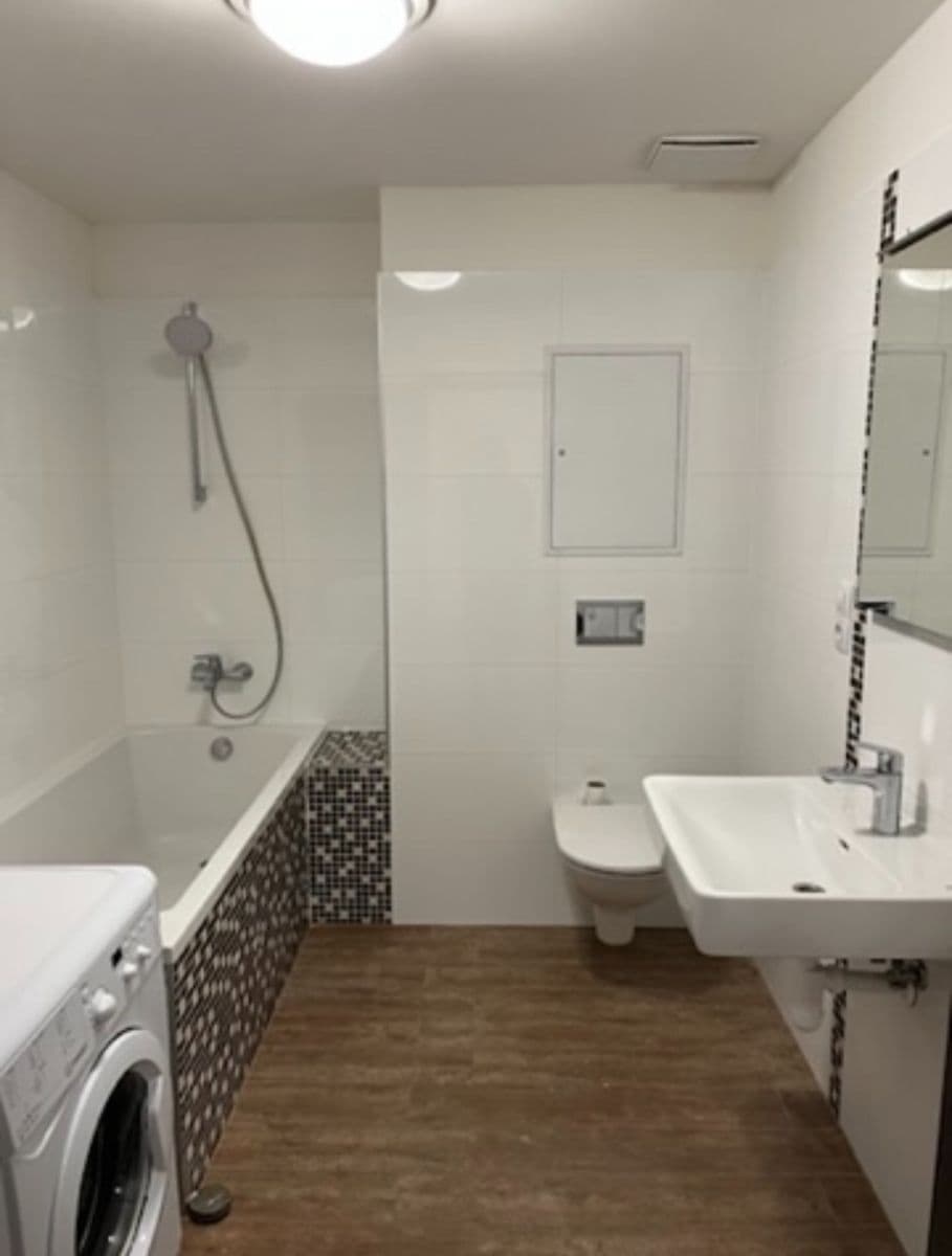 1 bedroom with open-plan kitchen flat to rent, 56 m², Frýdecká, Prague, Prague 1 bedroom with open-plan kitchen flat to rent, 56 m², Frýdecká, Prague, Prague