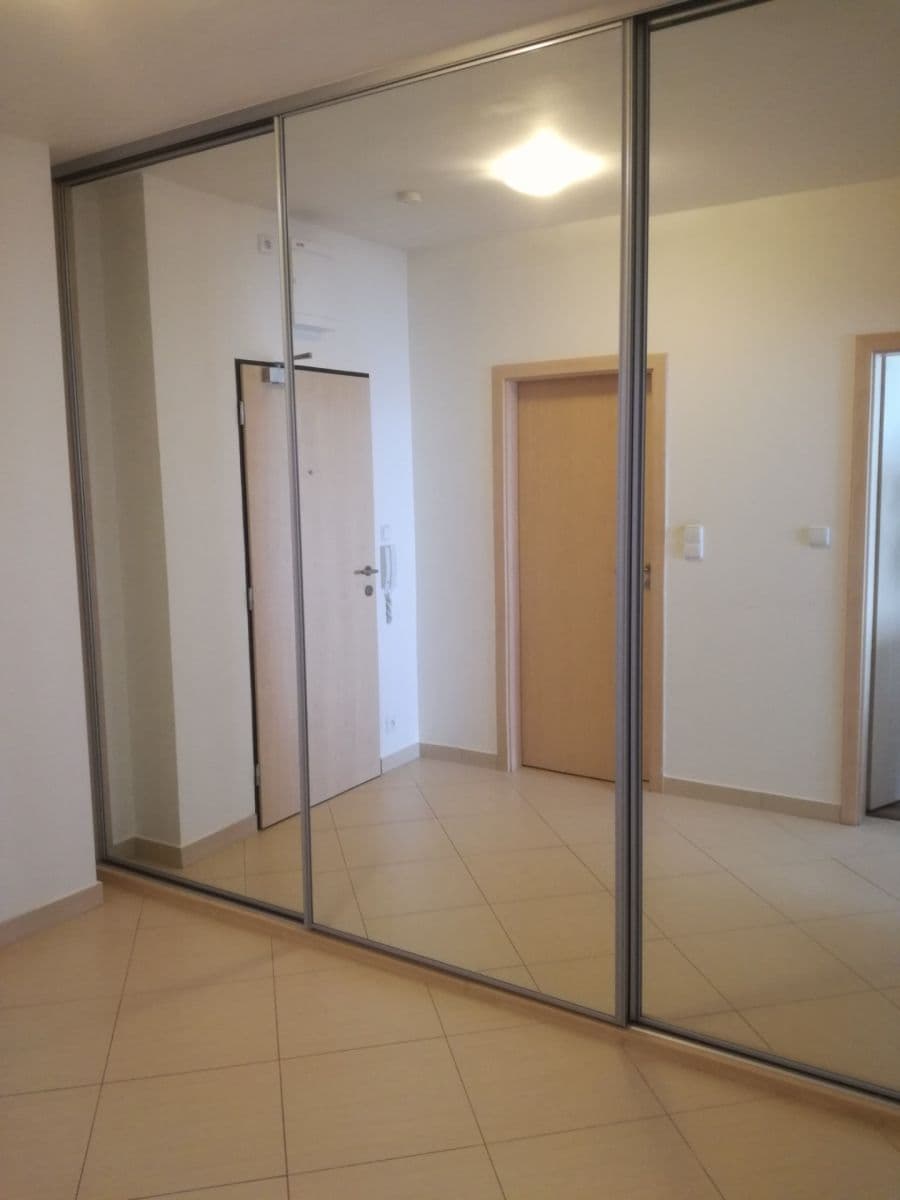 1 bedroom with open-plan kitchen flat to rent, 50 m², Makedonská, Prague, Prague 1 bedroom with open-plan kitchen flat to rent, 50 m², Makedonská, Prague, Prague