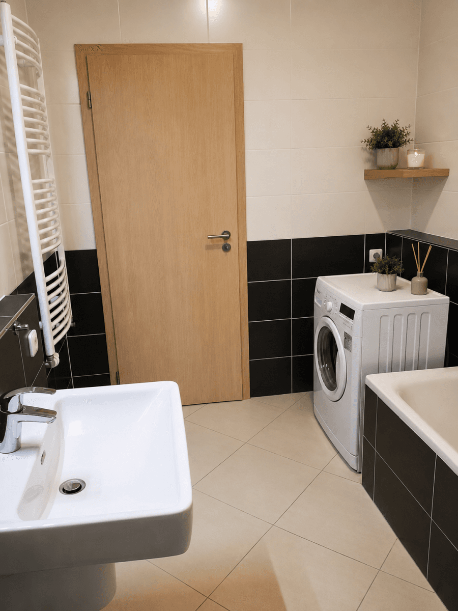 1 bedroom with open-plan kitchen flat to rent, 50 m², Makedonská, Prague, Prague 1 bedroom with open-plan kitchen flat to rent, 50 m², Makedonská, Prague, Prague