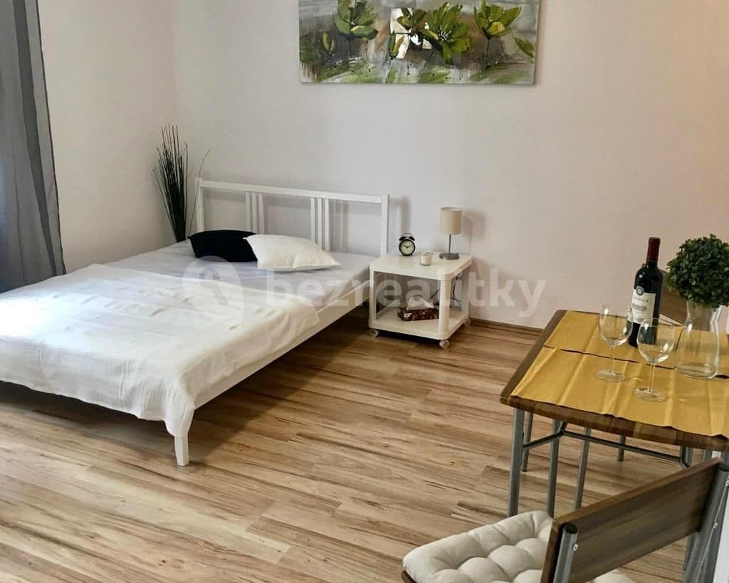 Studio flat to rent, 30 m², Za černým mostem, Prague, Prague Studio flat to rent, 30 m², Za černým mostem, Prague, Prague