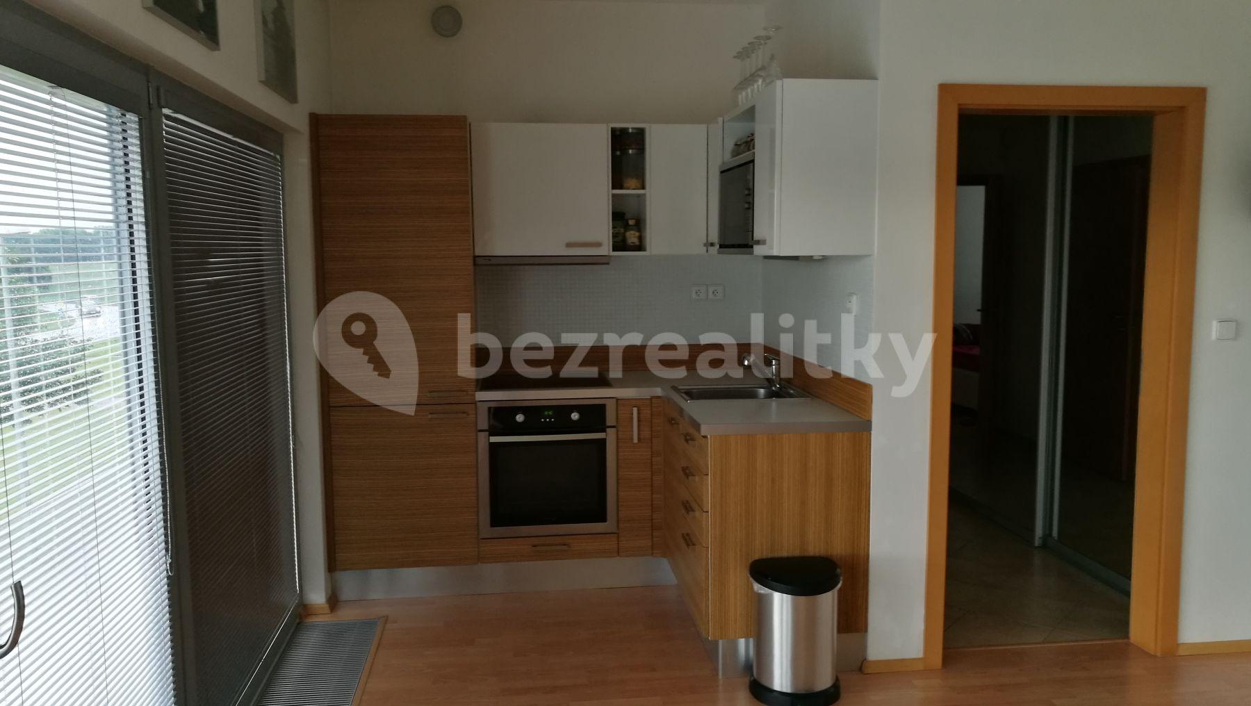 1 bedroom with open-plan kitchen flat to rent, 55 m², K Dálnici, Prague, Prague
