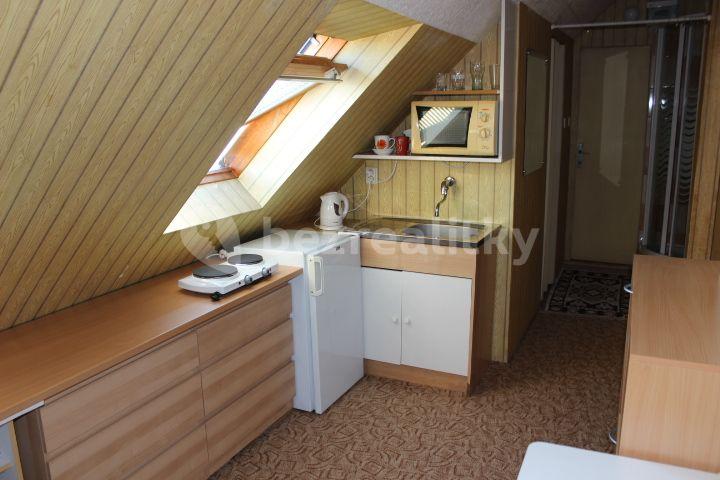 Small studio flat to rent, 22 m², Nad Kuliškou, Prague, Prague
