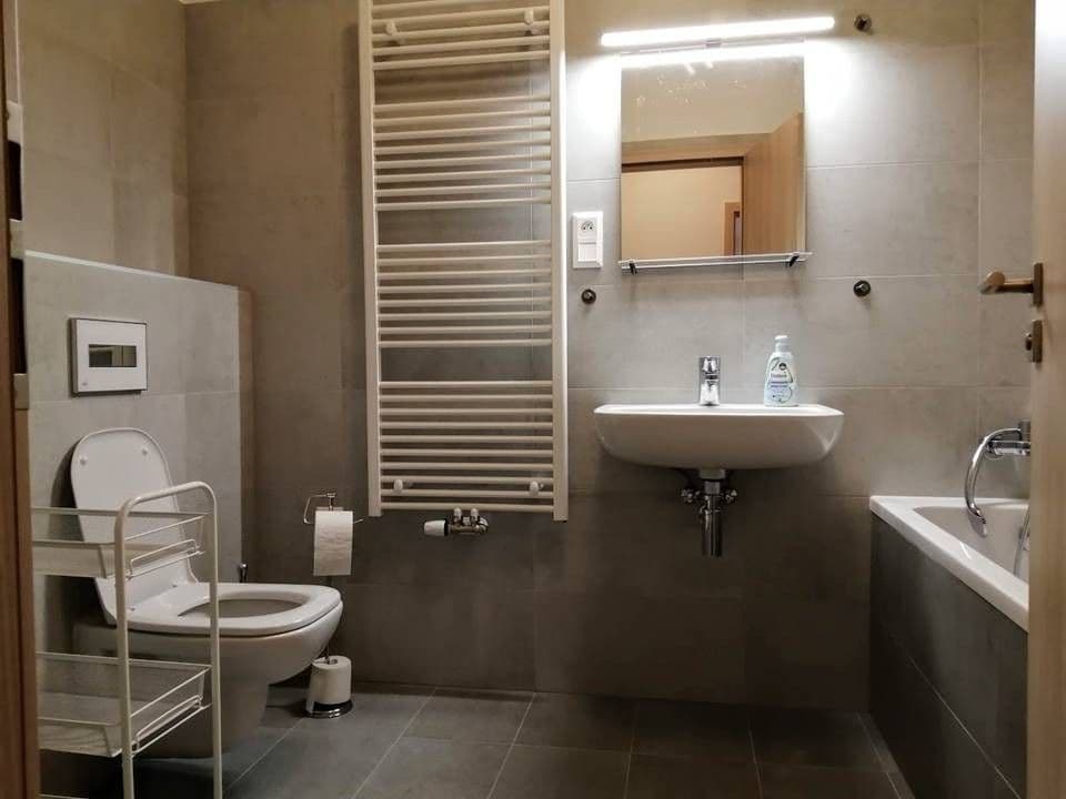 1 bedroom with open-plan kitchen flat to rent, 59 m², Svatošových, Prague, Prague 1 bedroom with open-plan kitchen flat to rent, 59 m², Svatošových, Prague, Prague