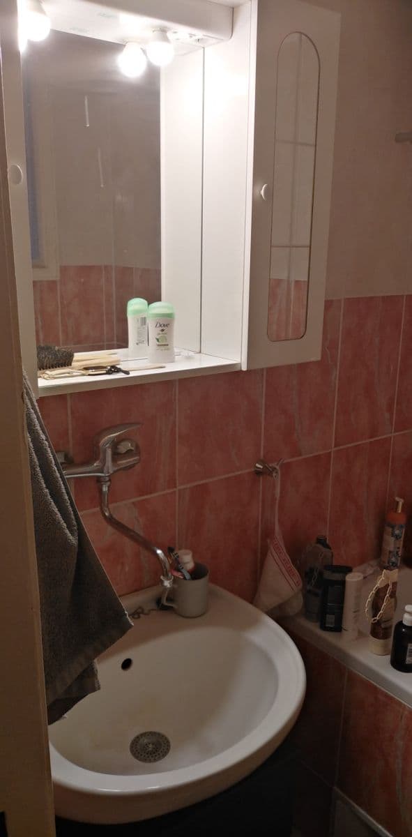 1 bedroom with open-plan kitchen flat to rent, 57 m², Kafkova, Prague, Prague 1 bedroom with open-plan kitchen flat to rent, 57 m², Kafkova, Prague, Prague