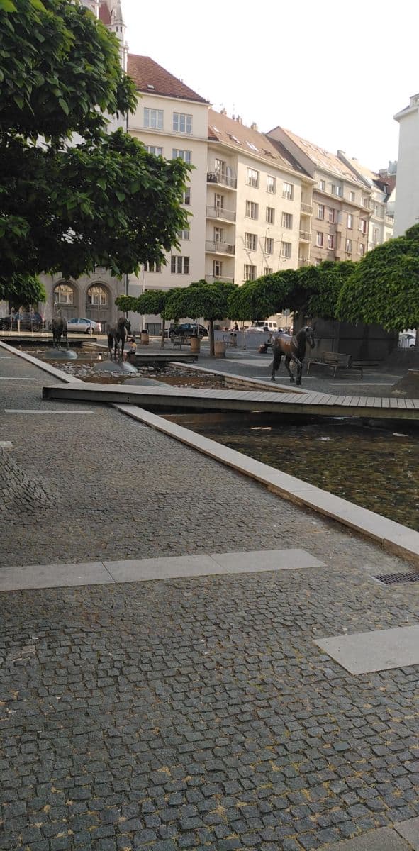 1 bedroom with open-plan kitchen flat to rent, 57 m², Kafkova, Prague, Prague 1 bedroom with open-plan kitchen flat to rent, 57 m², Kafkova, Prague, Prague